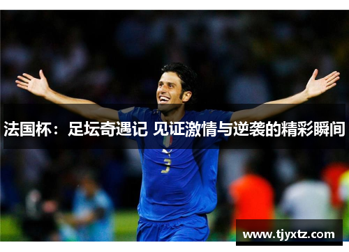 法国杯：足坛奇遇记 见证激情与逆袭的精彩瞬间