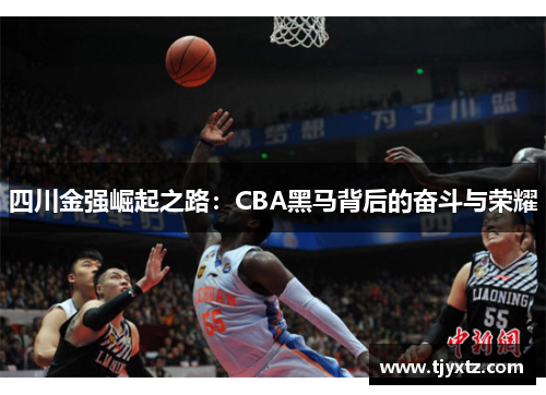 四川金强崛起之路：CBA黑马背后的奋斗与荣耀